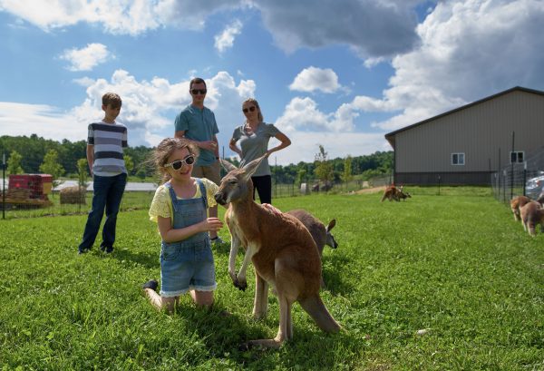 Wilstem Wildlife Park, Uniquely Indiana