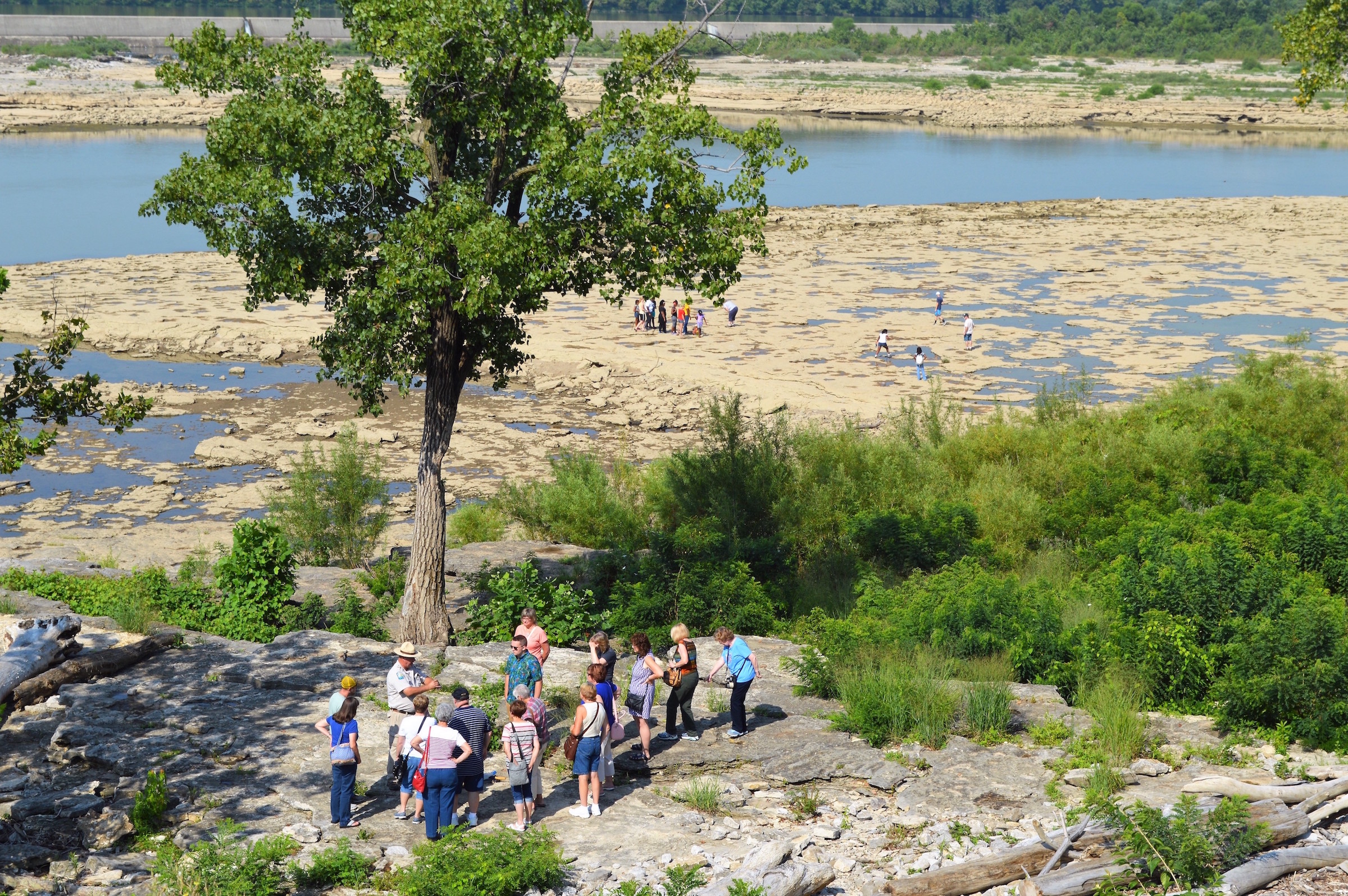 Dig It! Two Places In Indiana Where You Can Hunt For Fossils