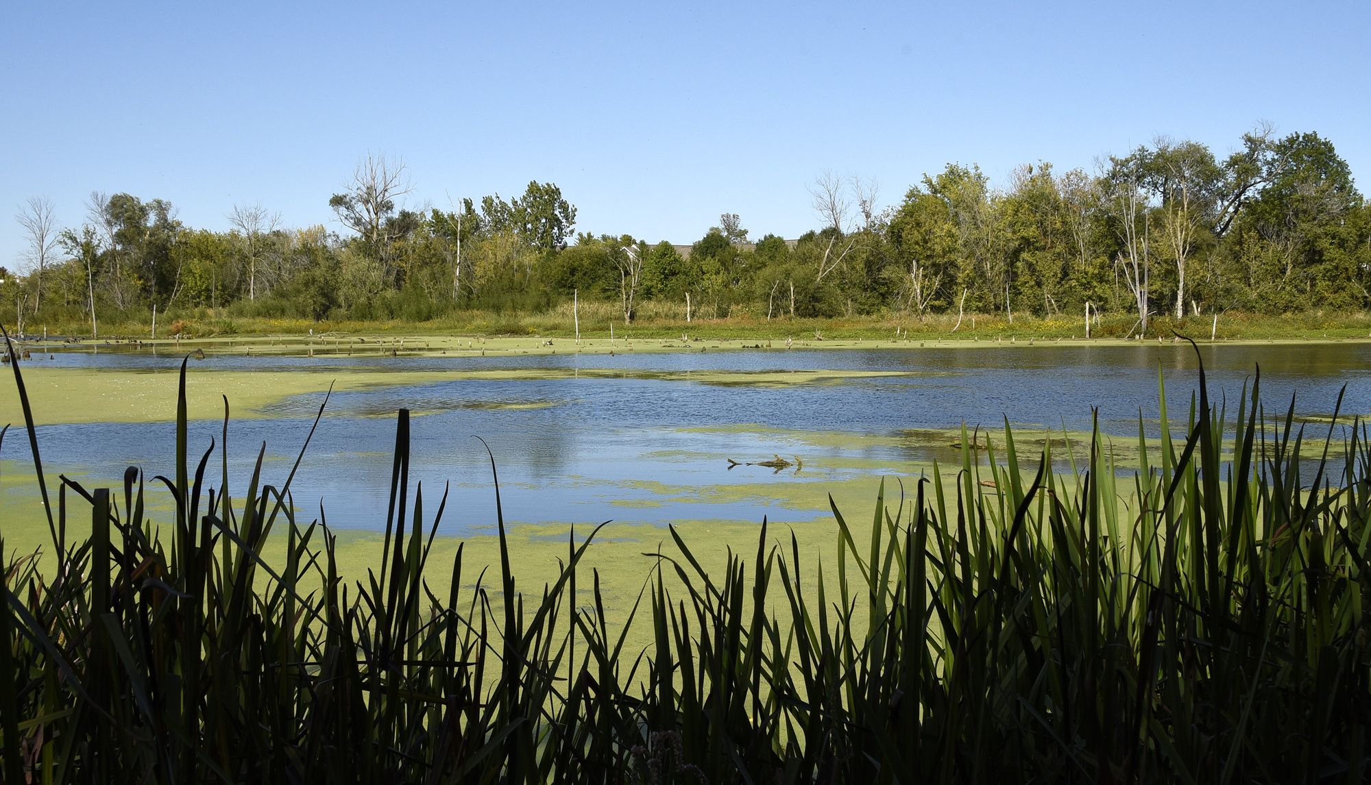 You Won't Believe These Two Wildlife Habitats in Northwest Indiana