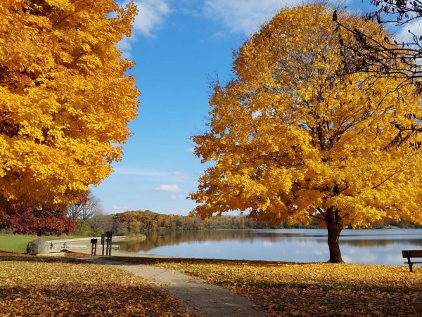 Potato Creek State Park, Fall Colors in Indiana