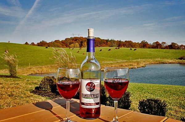 Monkey Hollow Winery, Indiana Wineries