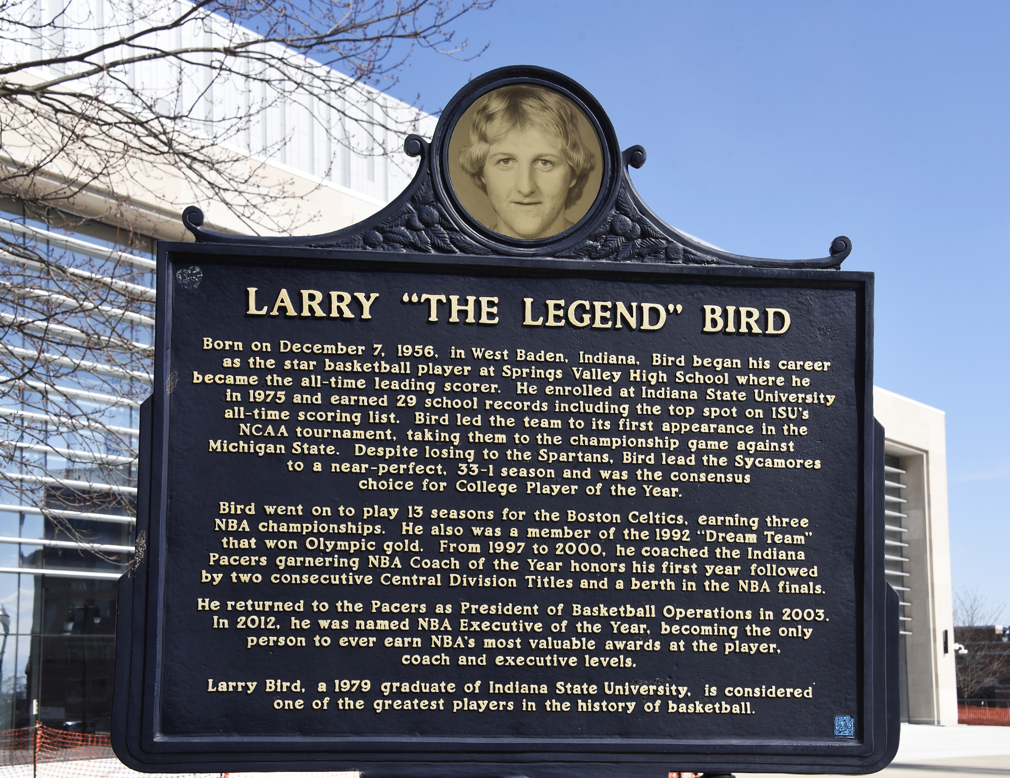 Larry Bird by My Inspiration