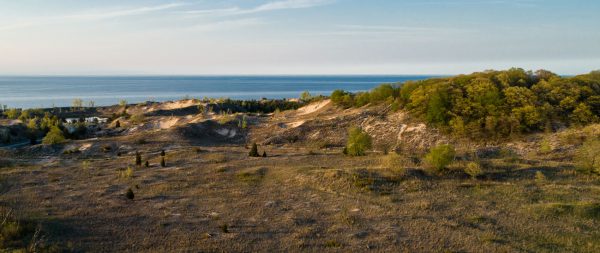 Dunes Succession Trail