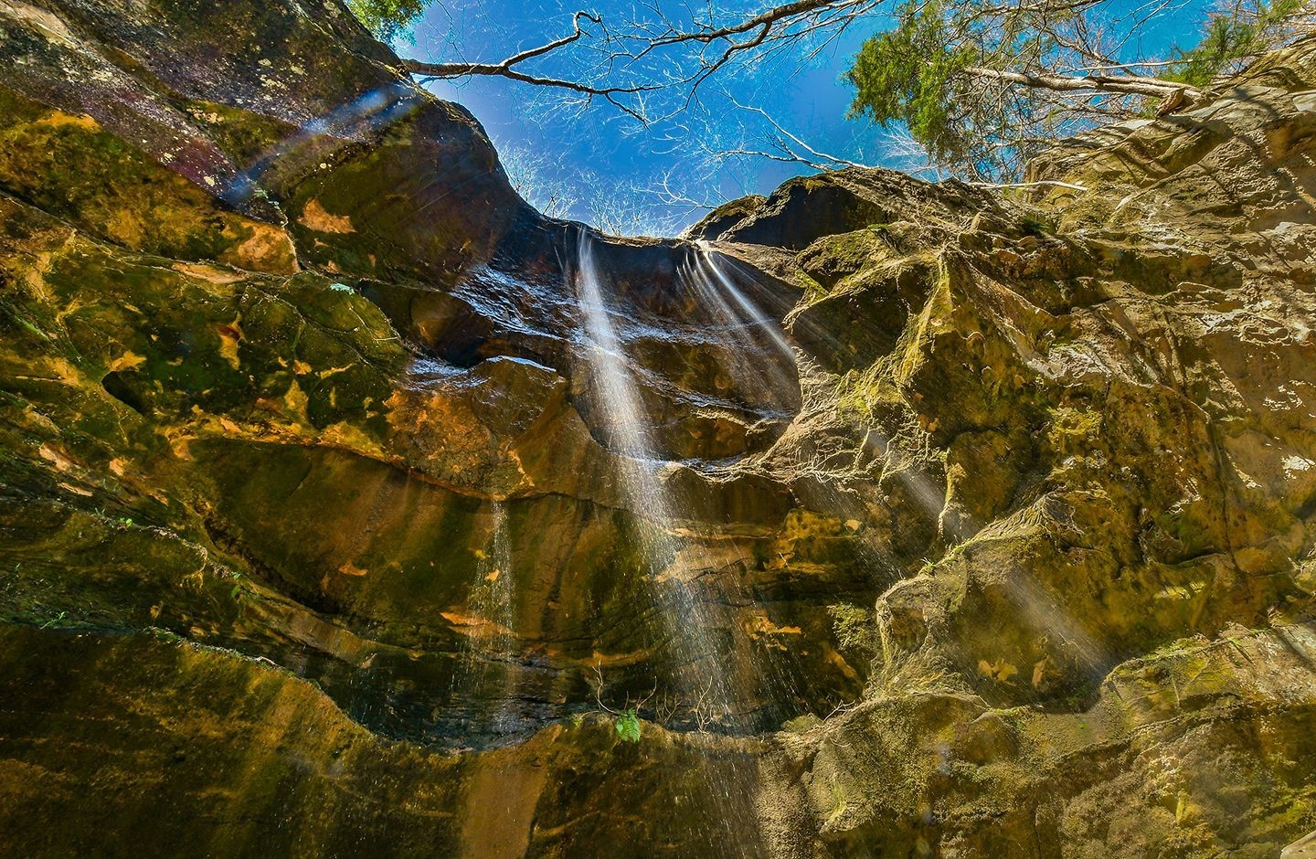 Hoosier national forest hiking trails deals