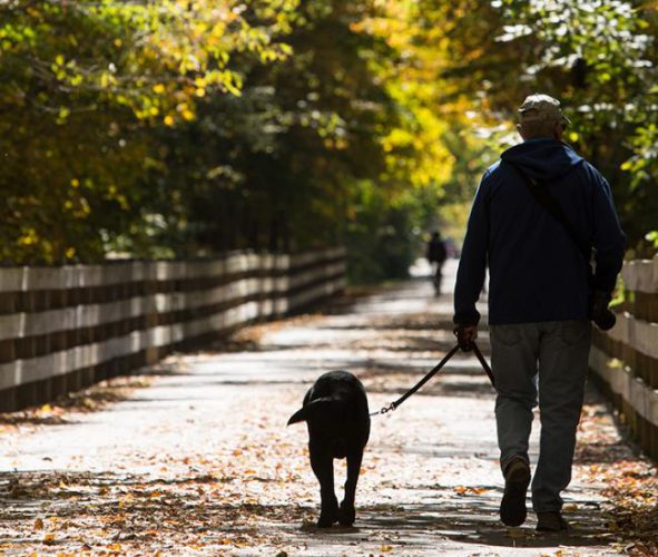 Monon Trail, Fall in Hamilton County