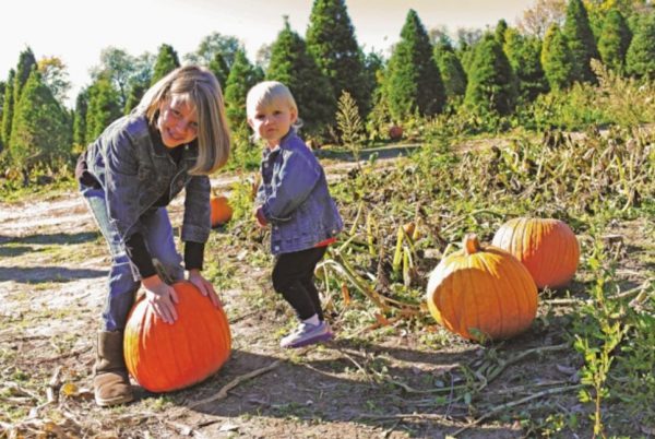 Pumpkin Patch, Fall in Hamilton County