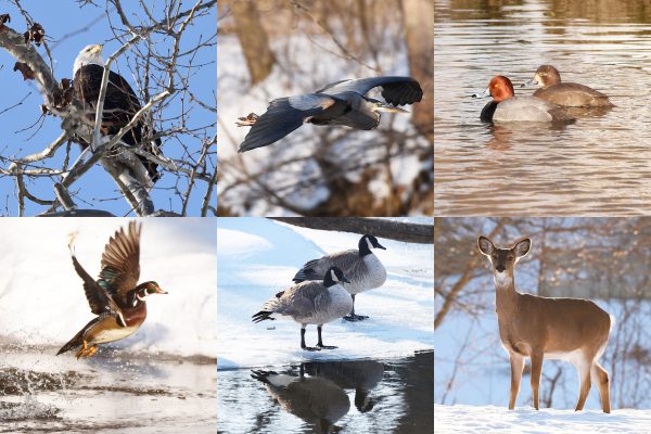 Winter Activities- State Parks