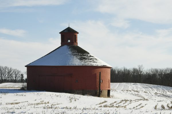 Winter Beauty