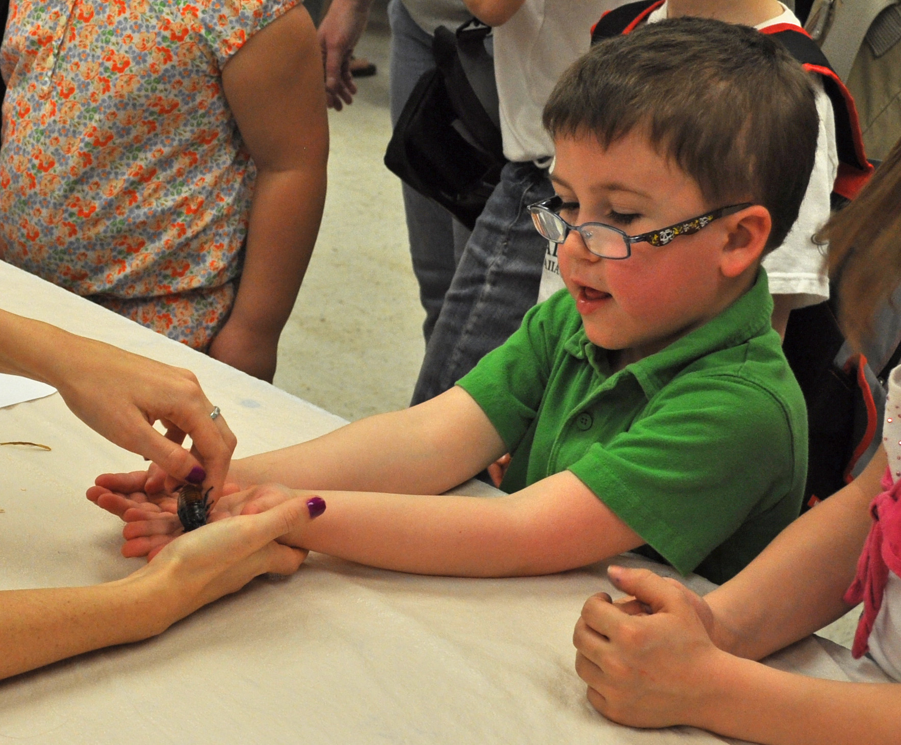 Creepy, Crawly & Fascinating! Learn About Bugs at Purdue's Spring Fest