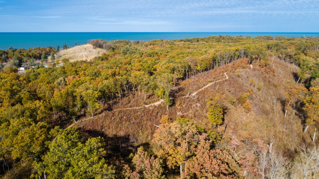 Dune Ridge Trail