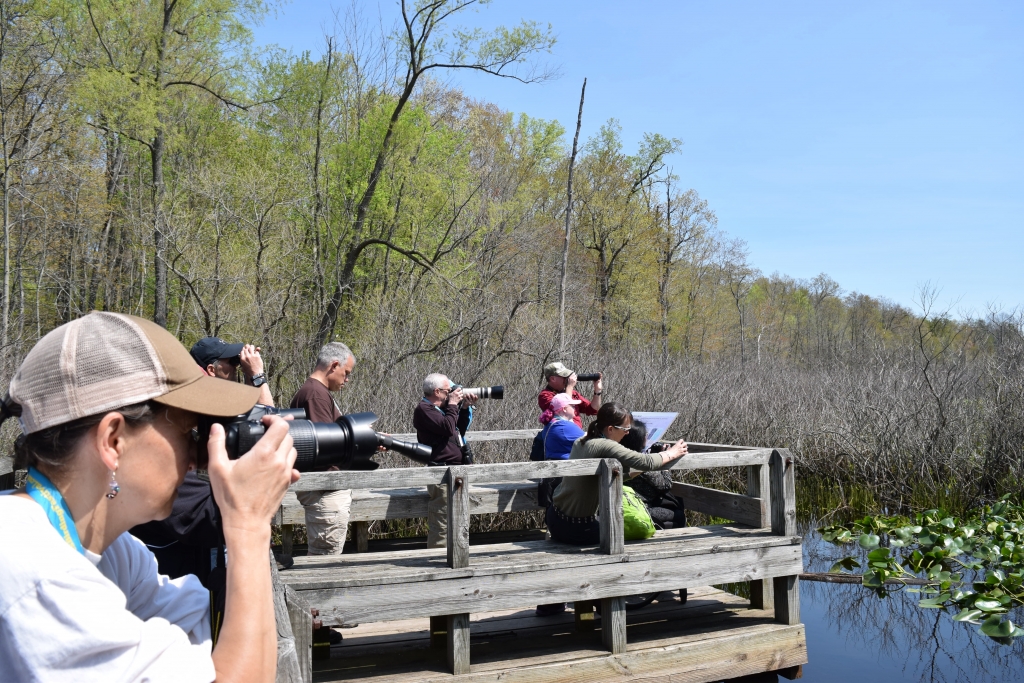 people bird-watching