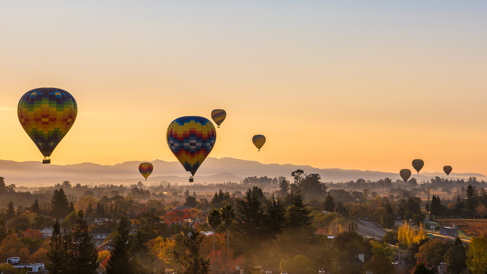 Napa Valley Zoom Backgrounds for Your Virtual Meetings