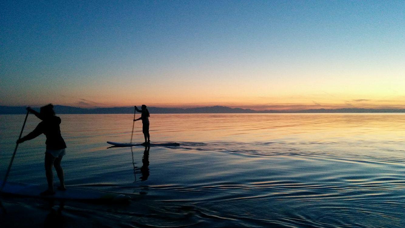 paddleboard