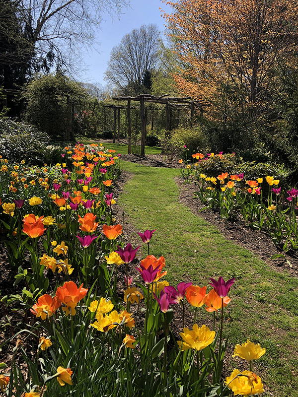 Fields of Bloom A Collection of Garden Sanctuaries on Long Island