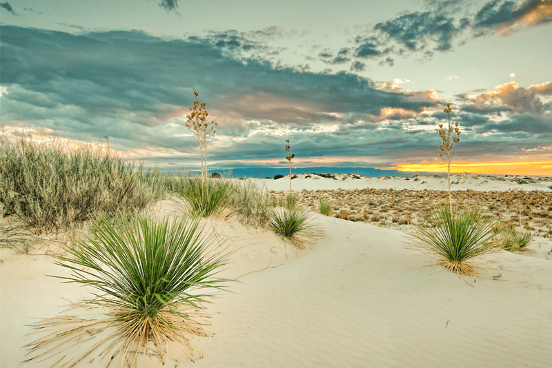 white sands dunes