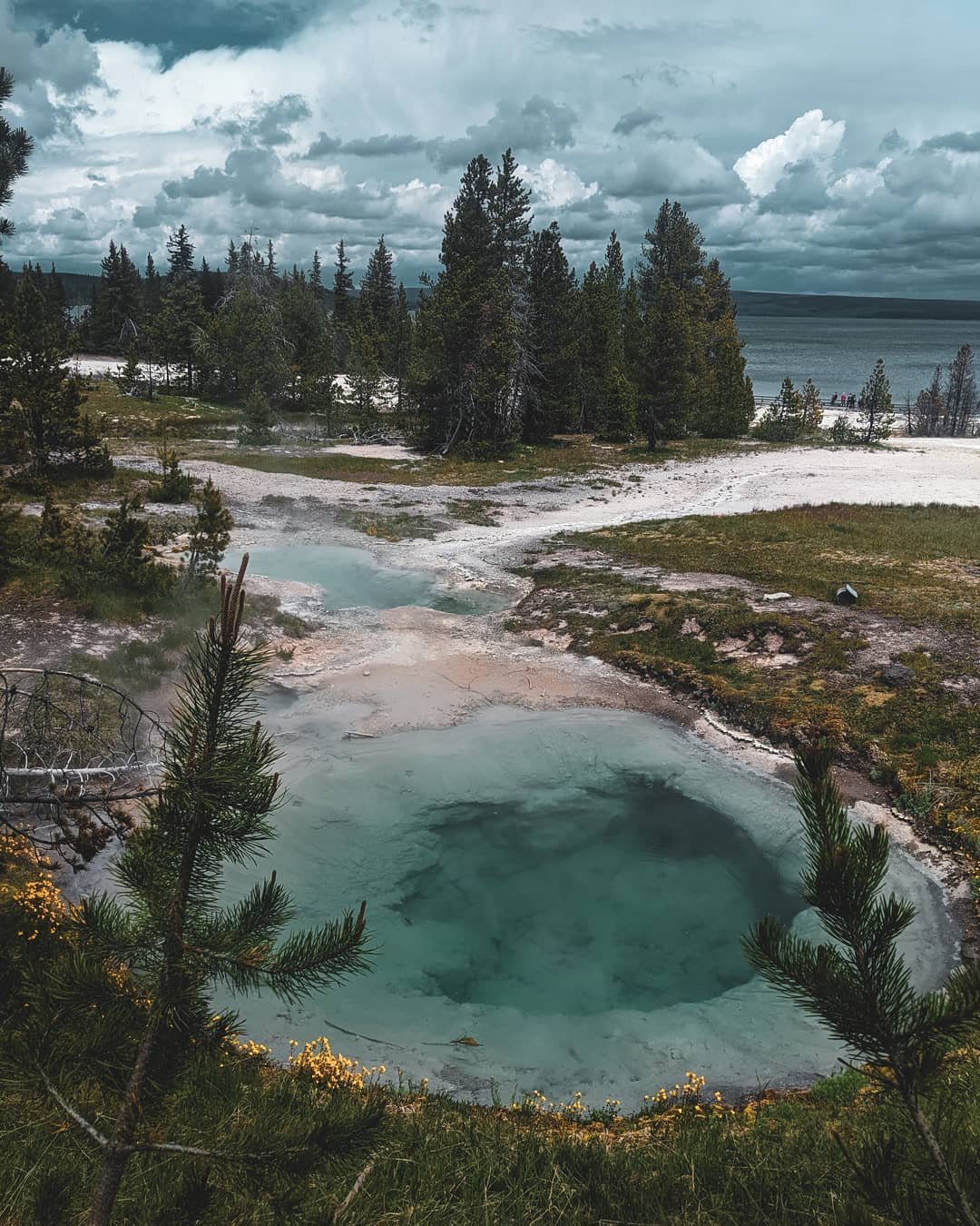 Photo by user jocandelar9, caption reads Life is everywhere , including in and around the most desolate and Maverick of places. .
.
.
.
.
.
#yellowstonenationalpark #nps #findyourpark #prismaticspring #nature #naturehub #optoutside #roadtrip #venture #photooftheday #photography #becurious #hikemore #worryless #backpacker #hiker #traveler #explore #yellowstone #greatoutdoors #besafe #beaware