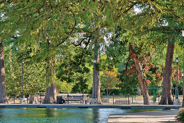 San Pedro Springs Park Blog