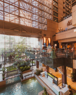 Hyatt Hayley Blog