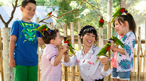 san antonio zoo parrots