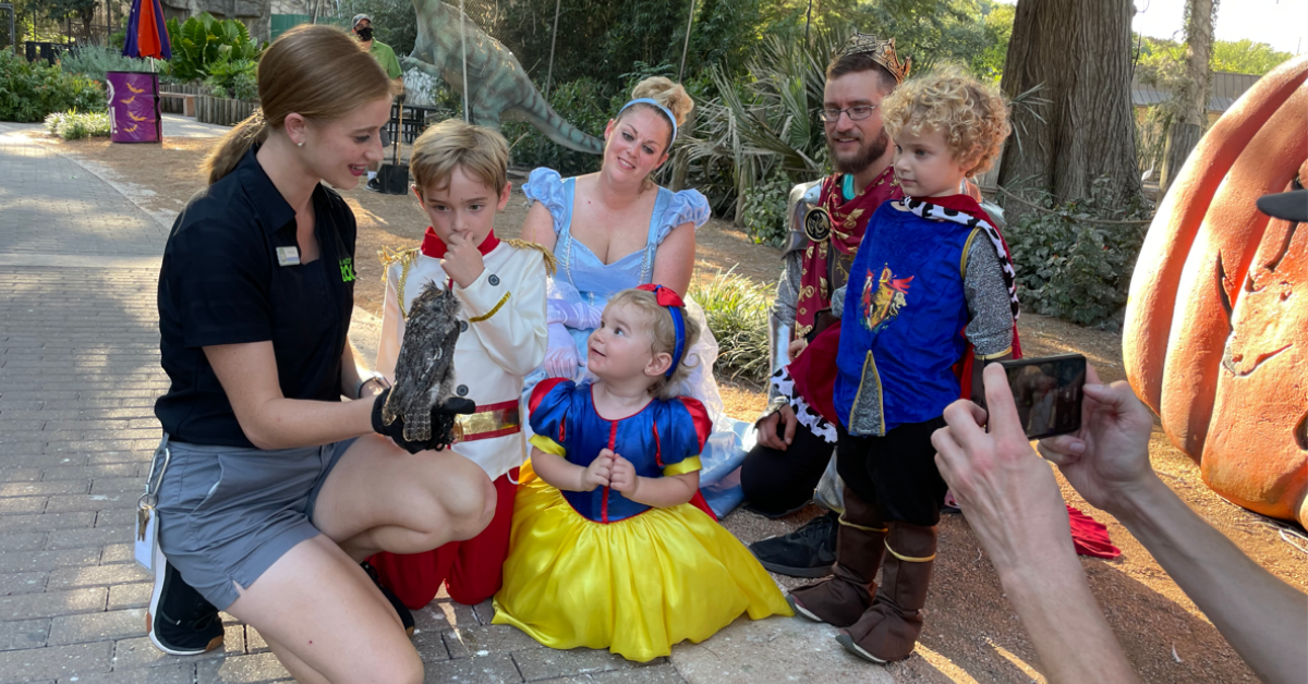 San Antonio Zoo Boo