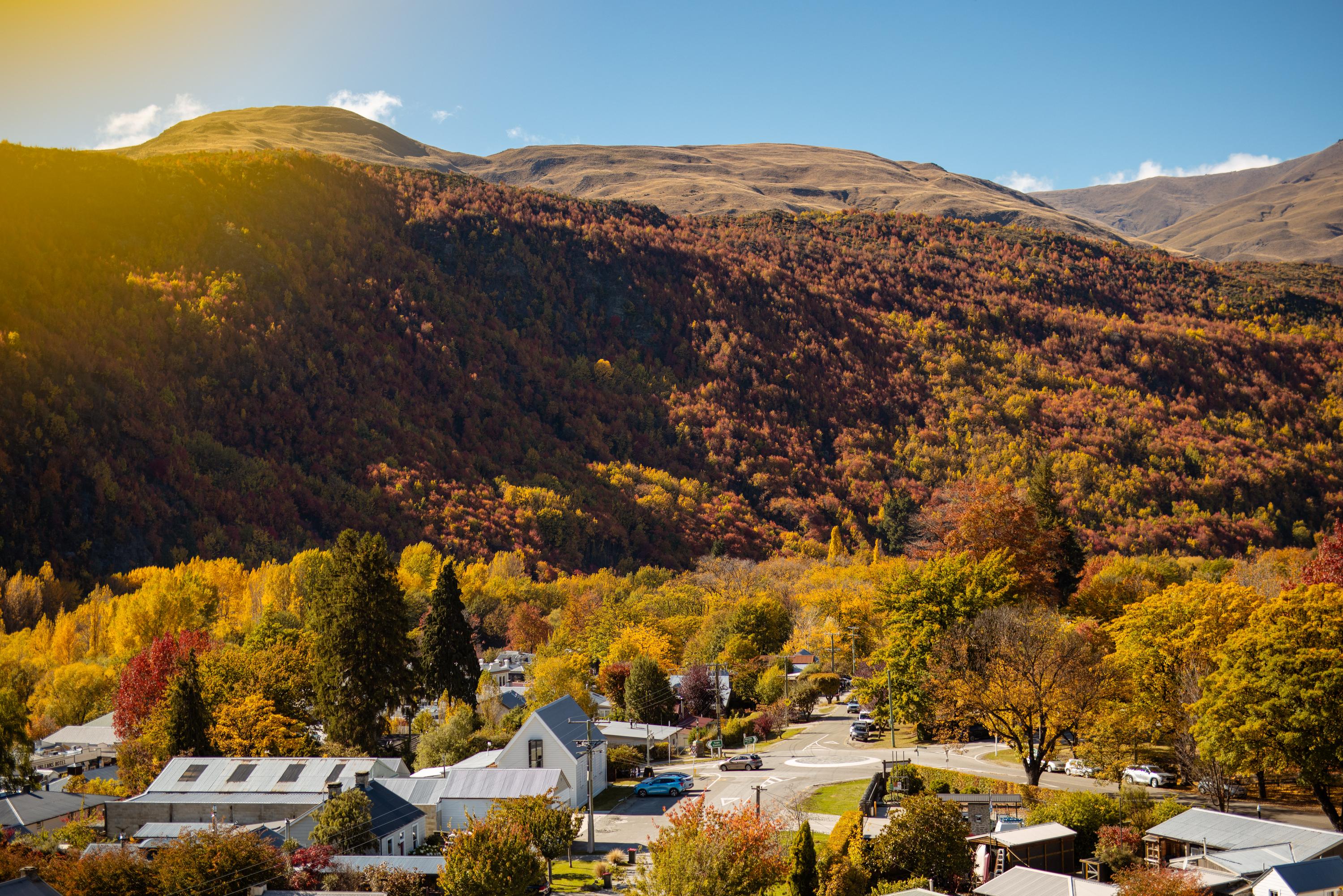 Arrowtown historic main street