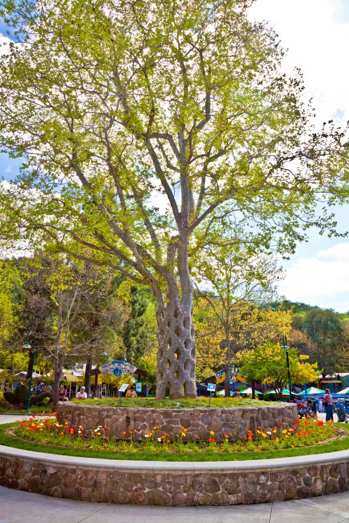Basket tree surrounded by orange, red and white flowers at Gilroy Gardens