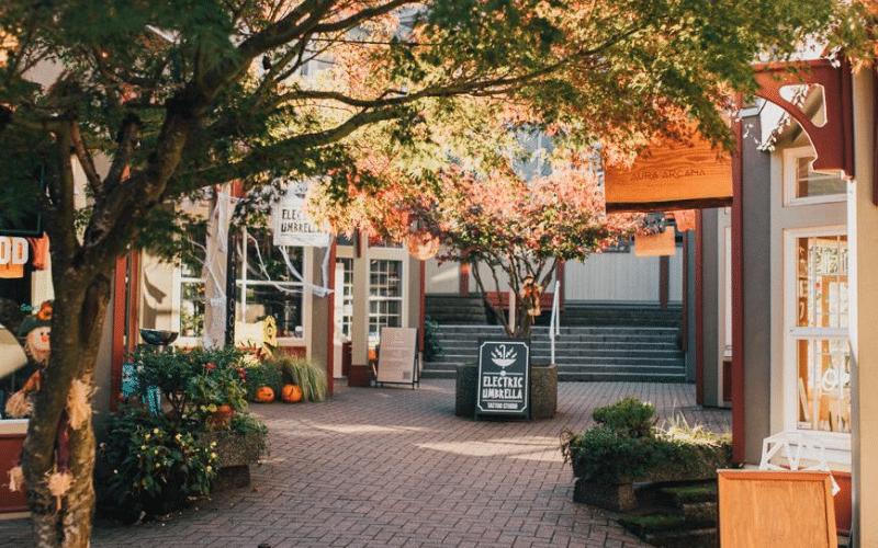 A picture of a sun-spotted, brick-paved courtyard lined with storefronts, featuring a large, potted Japanese maple tree in the foreground that is showing autumnal red and gold leaves. In the middle of the path is a sandwich board sign for ‘The Electric Umbrella.’