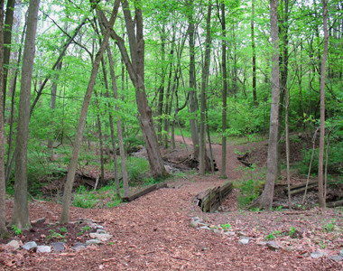 Bull's Run Arboretum - Main Image Bull's Run Arboretum - Main Image