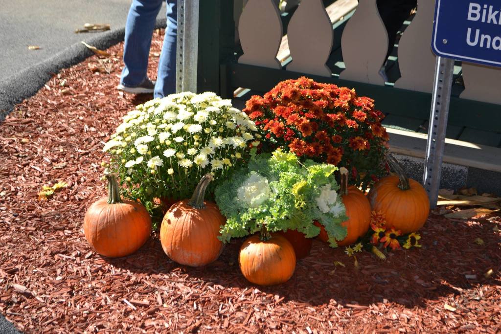 Beekman Fall Festival