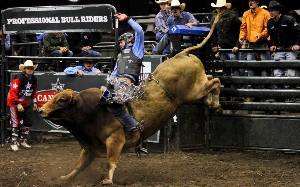 homestead championship rodeo now