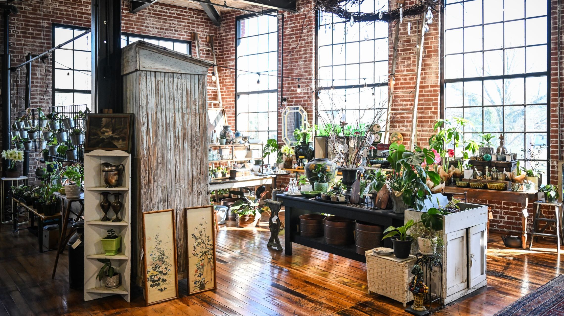 corner of a vintage store filled with plants an flowers for sale