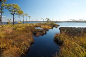 Bon Secour National Wildlife Refuge