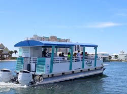 Flora-Bama's Coastal Cruiser