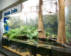 The Alabama Aquarium at the Dauphin Island Sea Lab