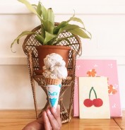 Del's Ice Cream