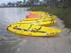 GO Go Kayaks and more LLC