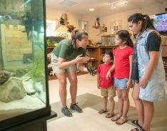 Gulf State Park Nature Center