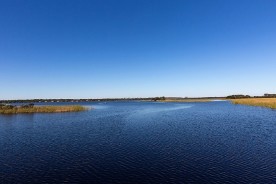 Meaher State Park