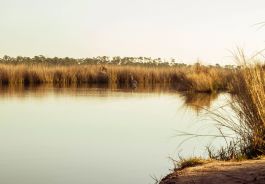 Wade Ward Nature Park