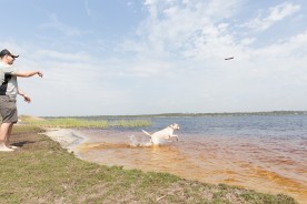 The Dog Pond