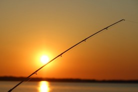 The Top 5 Surf Fishing Equipment Must-Have When Visiting Gulf