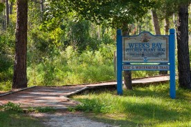 Weeks Bay National Estuarine Research Reserve