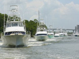 <span>Blue Marlin Grand Championship of the Gulf</span>