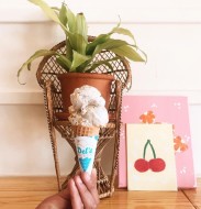 <span>Del's Ice Cream</span>