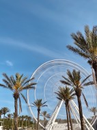 <span>Ferris Wheel at The Wharf</span>