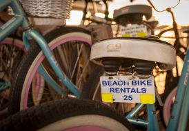 <span>Beach Bike Rentals</span>
