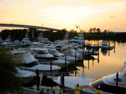 <span>The Wharf Marina</span>