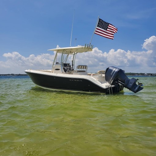 Back Bay Charters Gulf Shores & Orange Beach