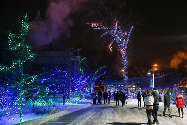 Calgary Zoo - ZOOLIGHTS