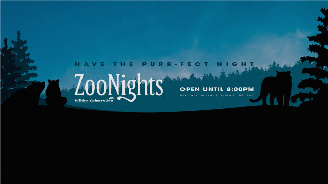 ZooNights